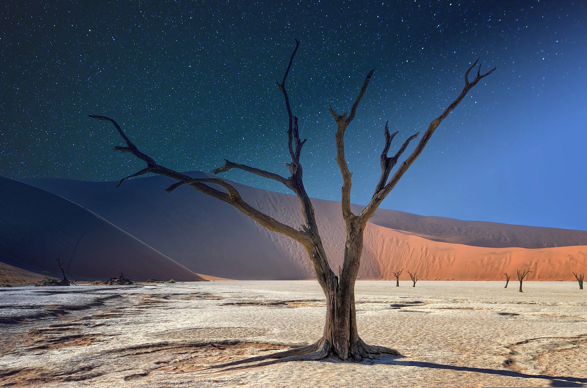 Namibia: una destinazione turistica africana in forte crescita