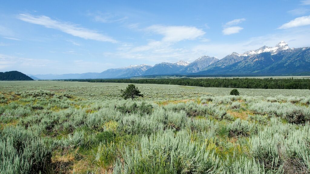 Prateria aperta ai piedi dei monti Teton, Wyoming