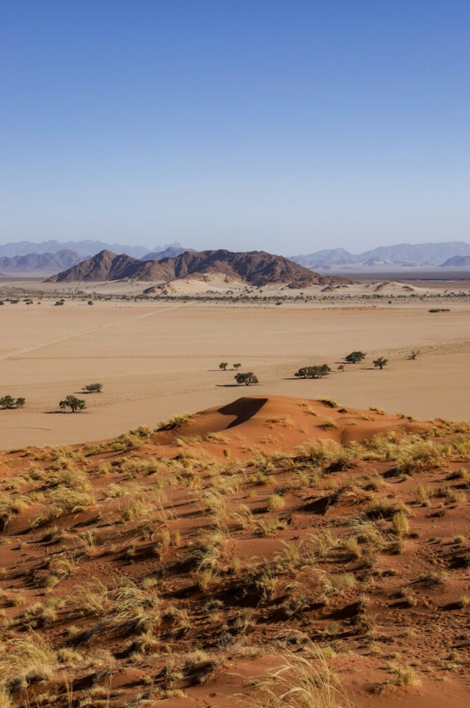 Paesaggio arido del deserto del Namib con dune e montagne in lontananza