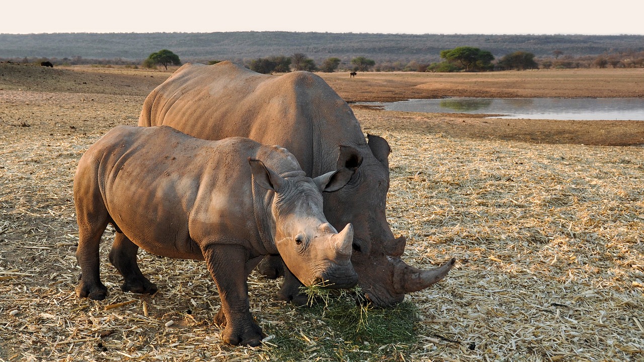 Guided game drive at Omaruru Game Lodge, Namibia