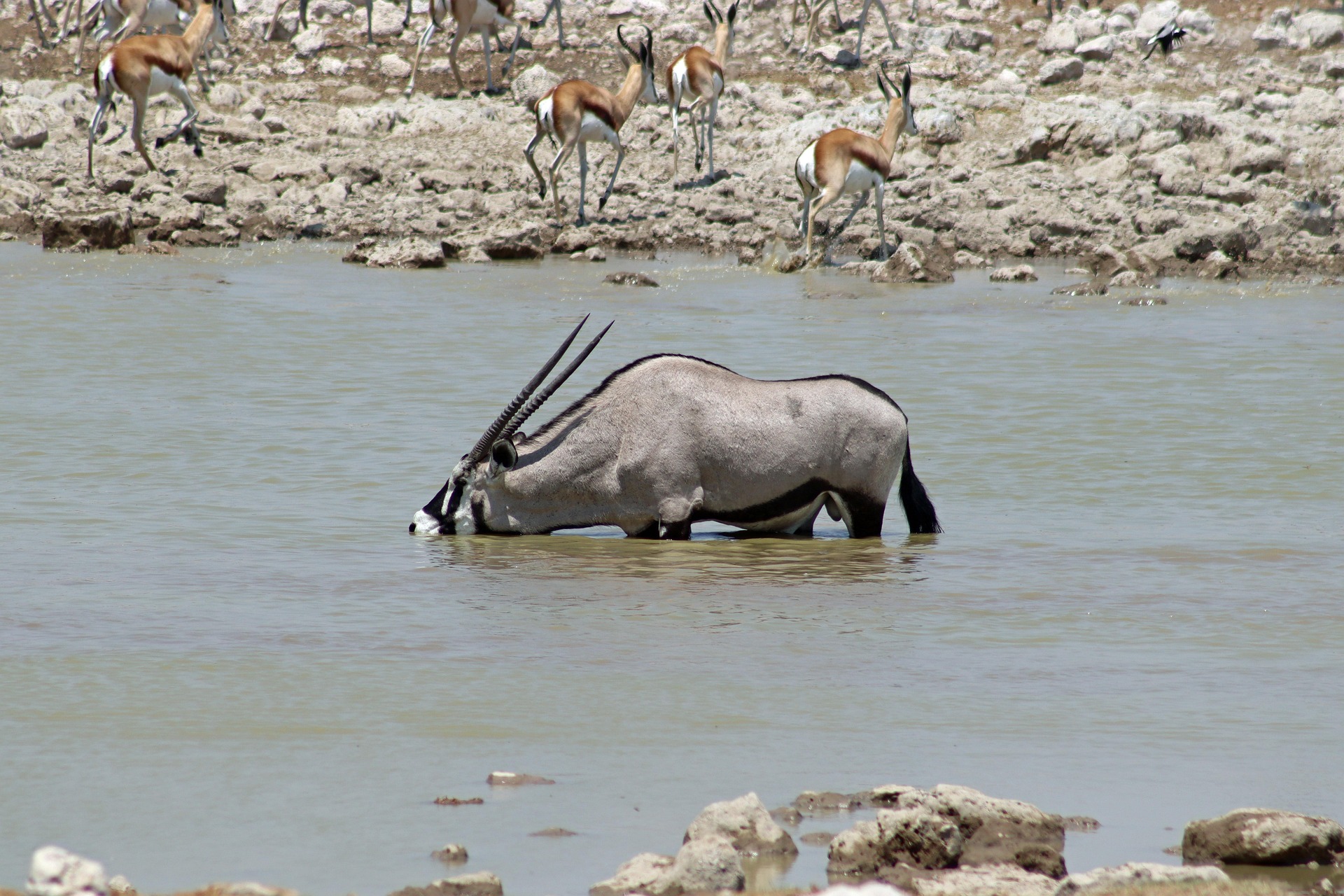 Morning photograph from Omaruru Game Lodge, Namibia