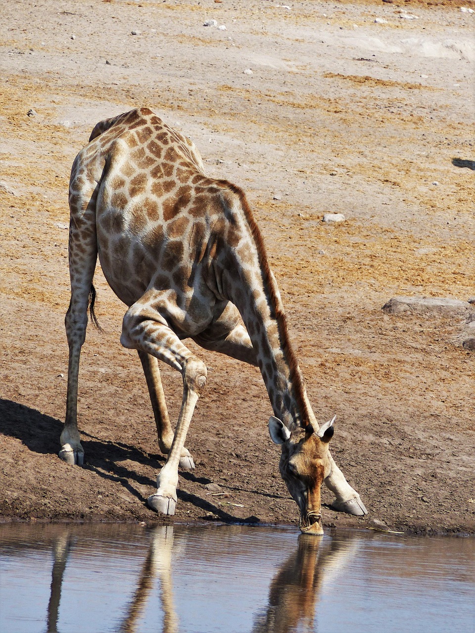 Morning photograph from Omaruru Game Lodge, Namibia