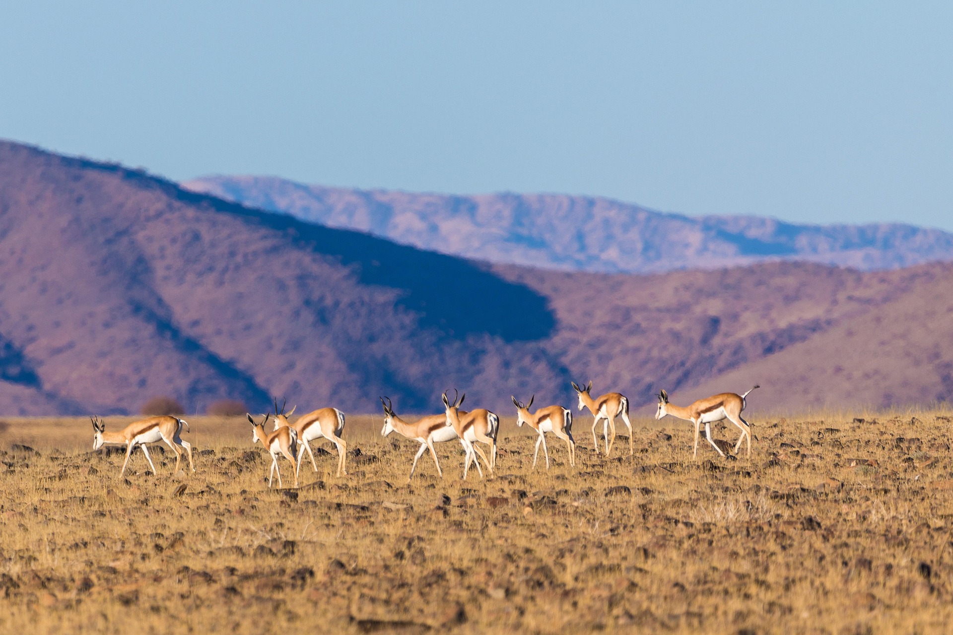 Travel photograph from the Omaruru–Erongo route, Namibia