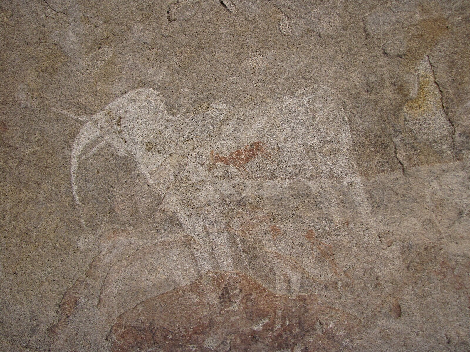 White Elephant painting at Phillips Cave