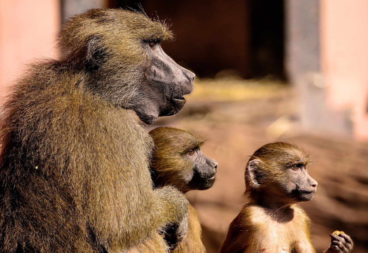 Tour photograph from the Windhoek–Okahandja journey, Namibia