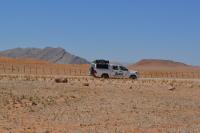 bakkie_horizon2.jpg