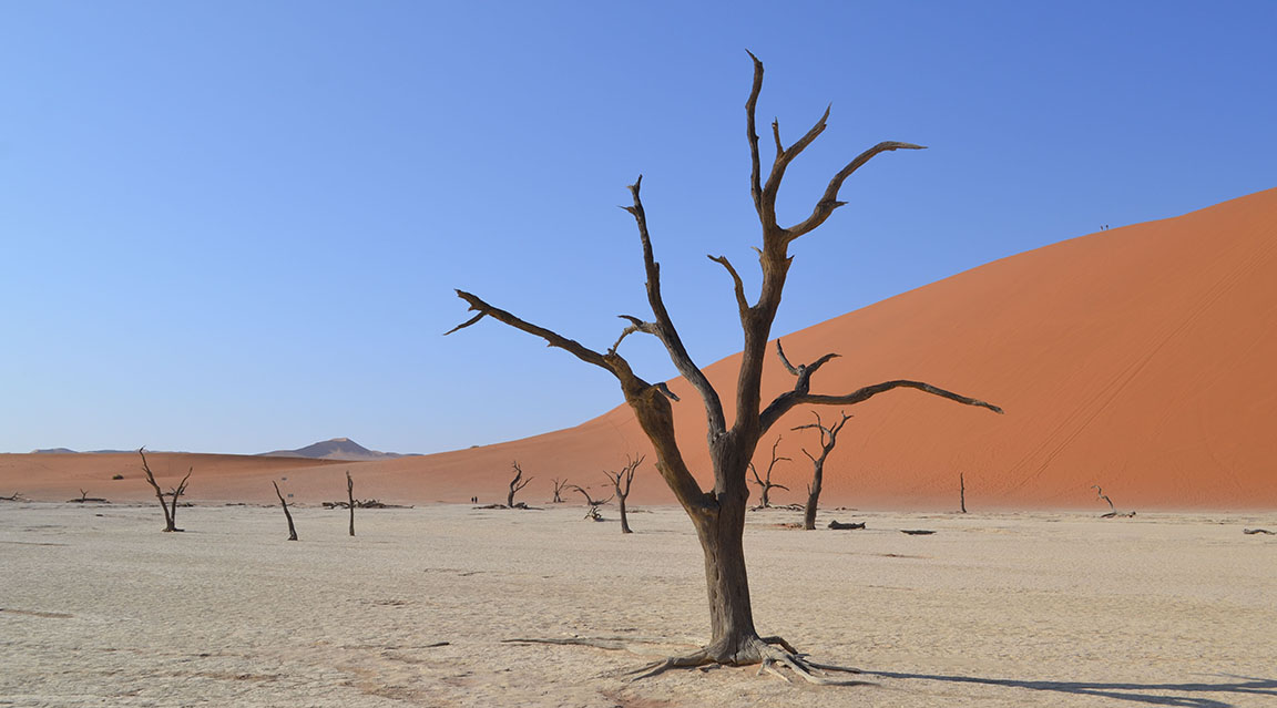 Exploring Sossusvlei