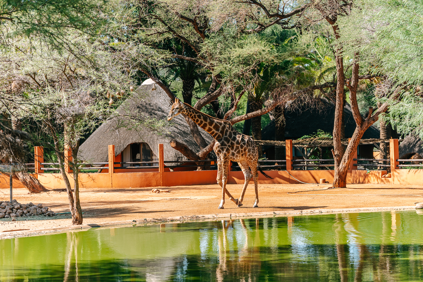 Sammy-Waterhole-1400-x-700